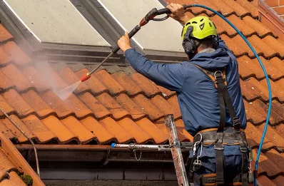 Démoussage et hydrofuge de toiture à Lépaud